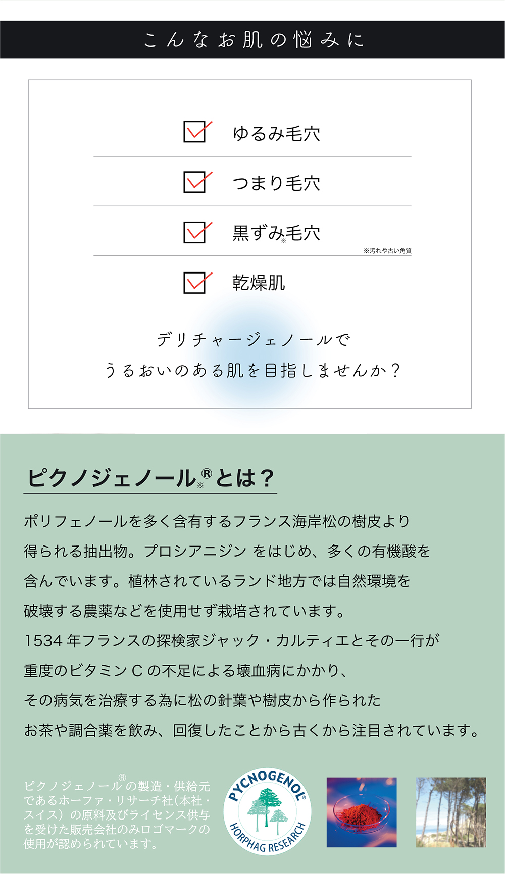 北尾化粧品部 オンラインストア デリチャージェノール 詰替用 モイストフェイシャルフォーム
