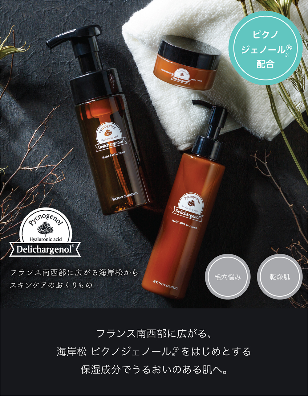 北尾化粧品部 オンラインストア デリチャージェノール 詰替用 モイストフェイシャルフォーム