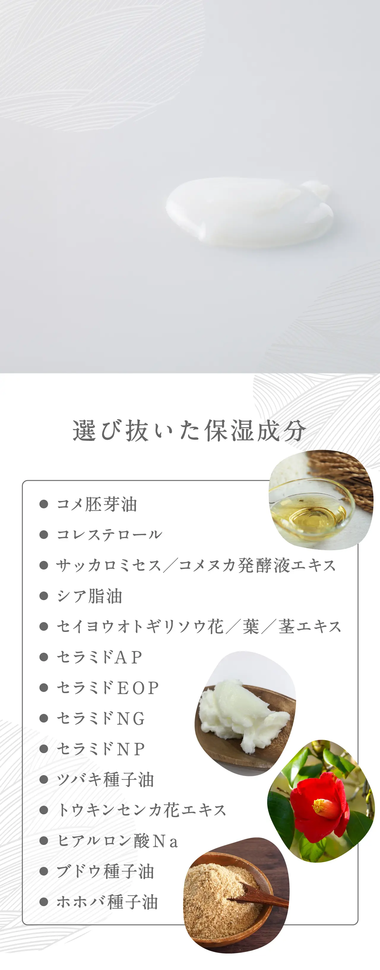 選び抜いた保湿成分 ● コメ胚芽油● コレステロール● サッカロミセス／コメヌカ発酵液エキス● シア脂油● セイヨウオトギリソウ花／葉／茎エキス● セラミドＡＰ● セラミドＥＯＰ● セラミドＮＧ ● セラミドＮＰ● ツバキ種子油● トウキンセンカ花エキス● ヒアルロン酸Ｎａ● ブドウ種子油● ホホバ種子油