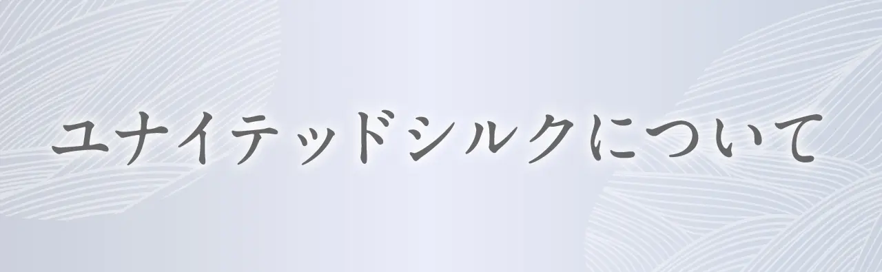 ユナイテッドシルクについて